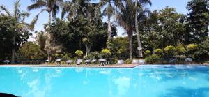a swimming pool with chairs and palm trees at HAPPY JUNGLE at 6 in St Lucia