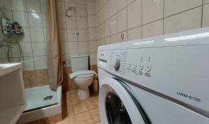 a washing machine in a bathroom with a toilet at Aura di Mare in Barbati
