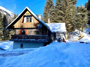 a log cabin in the snow with trees at Familienchalet Turrachblick in Preissl