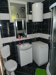 ein Bad mit einem WC und einem Waschbecken in der Unterkunft Apartman Sutjeska in Tjentište