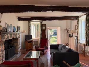 a living room with a couch and a fireplace at La Bellevue in Valleraugue