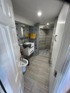 a bathroom with a toilet and a sink and a shower at The Anchor in Skerries +10 photos