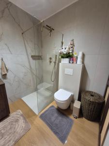 a bathroom with a glass shower and a toilet at Apartamenty Zajazd u Marcela in Tuchola +9 photos