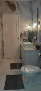 a bathroom with a glass shower with a toilet at Pantano Casa da Fafá e do Dila in Pântano Grande