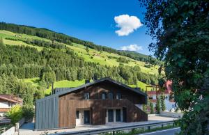 een huis aan de zijkant van een berg bij Appartement1 in San Giovanni in Val Aurina