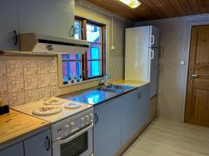 eine Küche mit Spüle und Herd in der Unterkunft Farmstay Götes Cabin, 2p in Årjäng