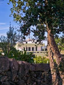 a house behind a stone wall with a tree at Raposa Verde - Agroturismo in Pegarinhos