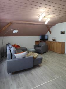 a living room with two couches and a tv at Ferienwohnung Schiekel in Sebnitz