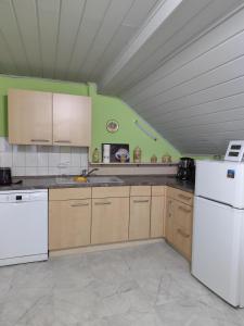 a kitchen with white appliances and a green wall at Ferienwohnung Schiekel in Sebnitz