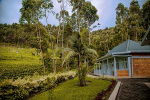 a house in the middle of a tea plantation at EAR KEN BARHAM GUESTHOUSE in Rwumba