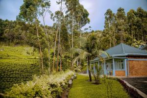 a house in the middle of a tea plantation at EAR KEN BARHAM GUESTHOUSE in Rwumba
