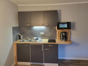 a small kitchen with a sink and a microwave at 02 Kornblume - Hof Wiesengrund in Parchtitz