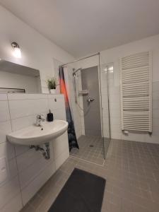 a bathroom with a sink and a shower at 02 Kornblume - Hof Wiesengrund in Parchtitz +23 photos