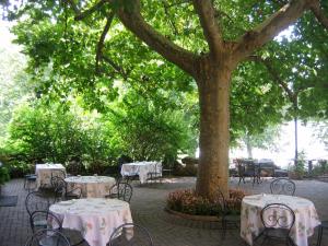 a group of tables and chairs under a tree at Brusco rooms in Como