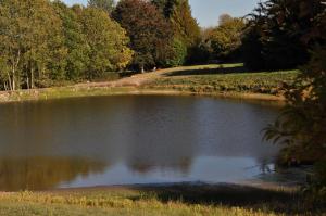 a pond in a park with trees in the background at Vaste chambre au centre du bourg in Saulieu +13 photos