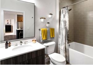 a bathroom with a sink and a toilet and a mirror at SE Furnished Apartment in Atlanta