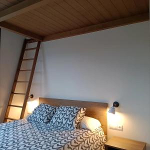 a bedroom with a bunk bed with a ladder at Can Freixa in Sant Pere de Torelló +12 photos