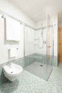 a bathroom with a shower and a sink and a toilet at Apartments Mauriz in Selva di Val Gardena
