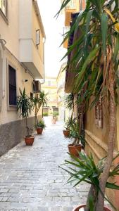 an alley with potted plants on the side of a building at The Superhost - Duomo Apt in Crotone