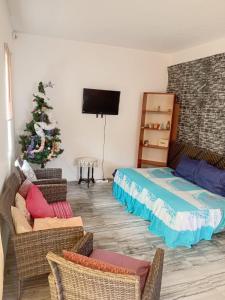 a living room with a christmas tree and a couch at Quiet corner ideal for holidays in Centre de Flacq