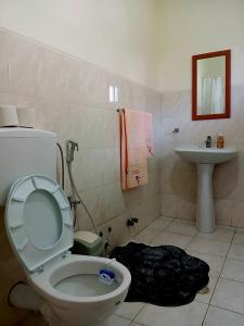 a bathroom with a toilet and a sink at ROMANA guest house in Tarrafal da Vila de Ribeira Grande