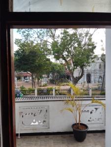 a window with a potted plant on a balcony at Dad's Inn by Wee Group in Andiambalama