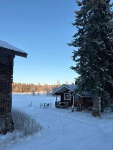 a log cabin in the snow next to a tree at Willa Stonehill in Iisalmi +8 photos