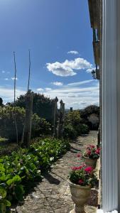 a garden with flowers in pots on a building at Casa da Freiria in Ponte de Lima