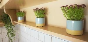 Drei blaue Vasen mit Blumen stehen auf einem Regal. in der Unterkunft maison jamouri in Kríni
