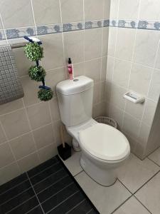 a bathroom with a white toilet in a room at Sea Breeze in Mossel Bay