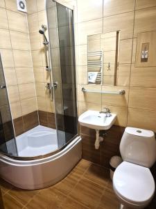 a bathroom with a shower and a toilet and a sink at Ośrodek Wczasowy Groń Placówka in Białka Tatrzańska