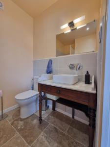 a bathroom with a sink and a toilet at Gite du Bois de Lord in Grandham +5 photos