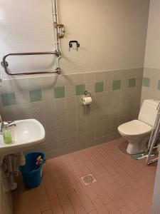 a bathroom with a toilet and a sink at Varastotie 1C in Ylivieska