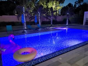 a swimming pool at night with a swan and a float at VILLA Keur Diam in Somone