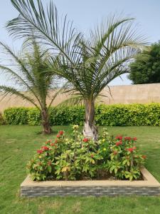 a palm tree and flowers in a garden at VILLA Keur Diam in Somone