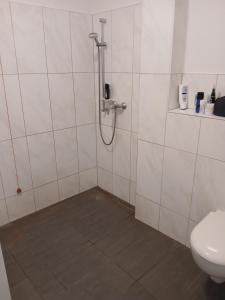 a bathroom with a shower and a toilet at Wohnen am Schliestedter Bach b in Schöppenstedt