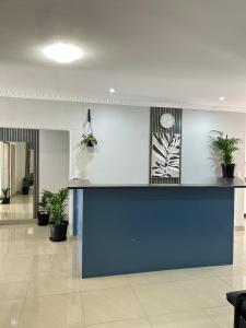 a lobby with a blue counter and potted plants at Pwake Luna Guesthouse in Swakopmund