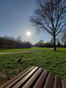 a park bench sitting in a field with a tree at Panorama-Blick Brüggen in Brüggen