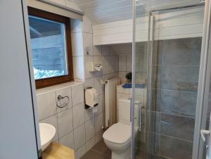 a bathroom with a toilet and a glass shower at Pension Almhof in Afritz