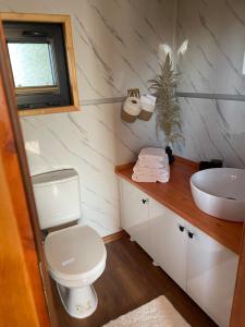 a bathroom with a toilet and a sink at Seebrise Adria in Altrip
