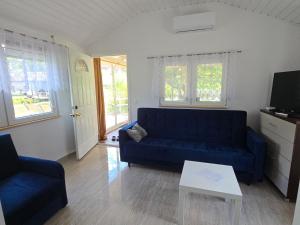 a living room with a blue couch and a table at Agroturystyka Nad-Stawem 2 in Wielowieś
