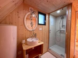 a bathroom with a sink and a shower at Tiny house in Saint-Rémy-Boscrocourt