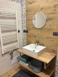 a bathroom with a sink and a mirror at Chalupa u dědy in Kozlov +34 photos