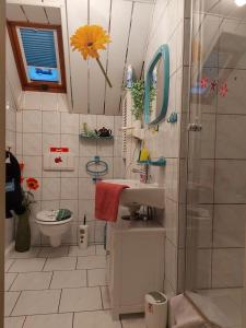 a bathroom with a shower and a sink and a toilet at Pension Renate Braun in Gamstädt