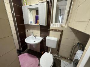 a small bathroom with a sink and a toilet at Vikendica Anja in Vlasic +19 photos