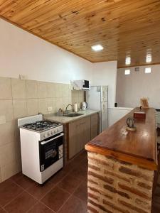 a kitchen with a stove and a sink in it at Casa de Descanso Don Abel in Chascomús