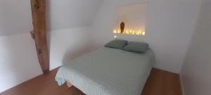a small room with a bed with two green pillows at Ferme rénovée 13 couchages in Archignat