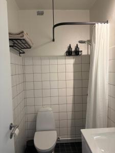 Kamar mandi di Bakkehegnet 2
