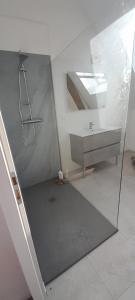 a bathroom with a shower and a sink and a mirror at Ferme rénovée 13 couchages in Archignat +24 photos