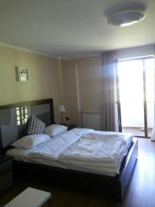 Фотография из галереи Orbi Palace Eleonora в Бакуриани